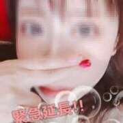 ヒメ日記 2026/02/21 11:12 投稿 空条(くうじょう)奥様 金沢の20代30代40代50代が集う人妻倶楽部