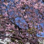 ヒメ日記 2025/03/01 19:43 投稿 しの 大奥