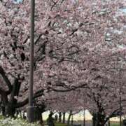 ヒメ日記 2025/03/18 11:46 投稿 しの 大奥