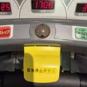 ヒメ日記 2026/09/01 02:04 投稿 みな 宇都宮ムンムン熟女妻