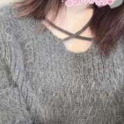 ヒメ日記 2024/12/12 12:38 投稿 らな 五反田人妻ヒットパレード（シンデレラグループ）