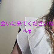 ヒメ日記 2025/07/11 08:34 投稿 西崎秋 五十路マダム　和歌山店