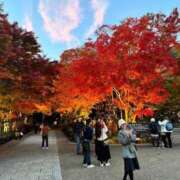 ヒメ日記 2024/12/20 19:01 投稿 みな なでしこ(十三)