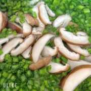 ヒメ日記 2025/09/22 11:25 投稿 もえ ナチュラルプリンセス