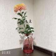 ヒメ日記 2025/10/31 14:15 投稿 もえ ナチュラルプリンセス