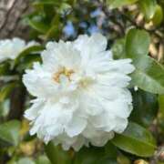 ヒメ日記 2025/12/03 21:45 投稿 もえ ナチュラルプリンセス