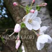 ヒメ日記 2025/03/26 16:01 投稿 水野香織(みずのかおり) 鶯谷ナンバーワン