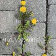 ヒメ日記 2025/03/28 12:01 投稿 水野香織(みずのかおり) 鶯谷ナンバーワン