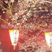 ヒメ日記 2025/04/08 19:00 投稿 水野香織(みずのかおり) 鶯谷ナンバーワン