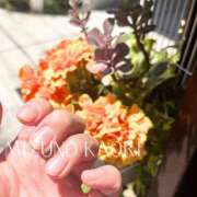 ヒメ日記 2025/04/15 10:40 投稿 水野香織(みずのかおり) 鶯谷ナンバーワン