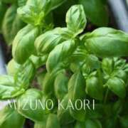 ヒメ日記 2025/04/29 12:01 投稿 水野香織(みずのかおり) 鶯谷ナンバーワン