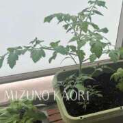 ヒメ日記 2025/05/20 09:05 投稿 水野香織(みずのかおり) 鶯谷ナンバーワン