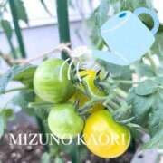 ヒメ日記 2025/07/06 16:30 投稿 水野香織(みずのかおり) 鶯谷ナンバーワン