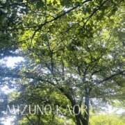 ヒメ日記 2025/07/24 14:10 投稿 水野香織(みずのかおり) 鶯谷ナンバーワン