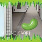 ヒメ日記 2025/10/13 14:20 投稿 水野香織(みずのかおり) 鶯谷ナンバーワン