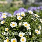 ヒメ日記 2026/03/10 21:20 投稿 水野香織(みずのかおり) 鶯谷ナンバーワン