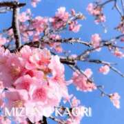 ヒメ日記 2026/03/11 21:15 投稿 水野香織(みずのかおり) 鶯谷ナンバーワン