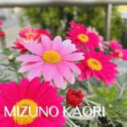 ヒメ日記 2026/04/05 21:10 投稿 水野香織(みずのかおり) 鶯谷ナンバーワン