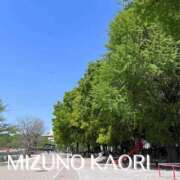 ヒメ日記 2026/04/15 21:20 投稿 水野香織(みずのかおり) 鶯谷ナンバーワン