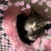 ヒメ日記 2025/03/31 12:41 投稿 朝日◇あさひ 人妻吐息