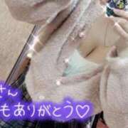 ヒメ日記 2025/02/08 02:54 投稿 れん 埼玉本庄ちゃんこ