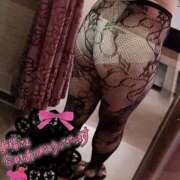 ヒメ日記 2025/02/15 00:14 投稿 れん 埼玉本庄ちゃんこ