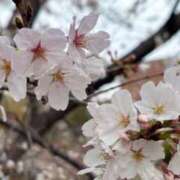 ヒメ日記 2025/04/05 13:33 投稿 りぜ スパーク日本橋