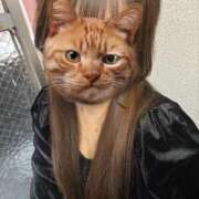 ヒメ日記 2025/04/13 12:09 投稿 りぜ スパーク日本橋