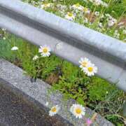 ヒメ日記 2025/05/02 13:29 投稿 りぜ スパーク日本橋