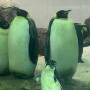 ヒメ日記 2025/06/22 20:50 投稿 りぜ スパーク日本橋