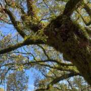 ヒメ日記 2025/06/25 20:25 投稿 りぜ スパーク日本橋