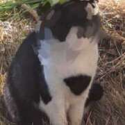 ヒメ日記 2025/03/07 10:07 投稿 ちあき 激やみ！痴女伝説　五反田店