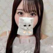 ゆり 8月お休みします?お知らせ 上野ハンドメイド