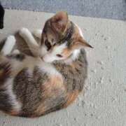 ヒメ日記 2024/12/20 19:45 投稿 かえで One More奥様　横浜関内店