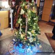 ヒメ日記 2024/12/22 14:03 投稿 かえで One More奥様　横浜関内店