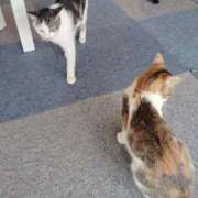 ヒメ日記 2024/12/22 21:03 投稿 かえで One More奥様　横浜関内店