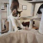 ヒメ日記 2025/01/20 19:30 投稿 かえで One More奥様　横浜関内店