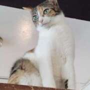 ヒメ日記 2025/05/07 23:03 投稿 かえで One More奥様　横浜関内店