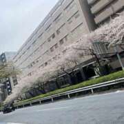 ヒメ日記 2026/04/08 01:00 投稿 松島あかね ワイフコレクション