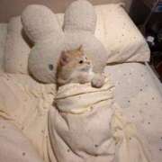 ヒメ日記 2025/08/06 11:21 投稿 るか ハッピーブリッジ