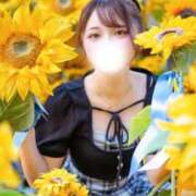 ヒメ日記 2025/09/15 08:17 投稿 るか ハッピーブリッジ