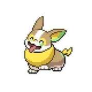 ヒメ日記 2025/09/20 09:46 投稿 るか ハッピーブリッジ