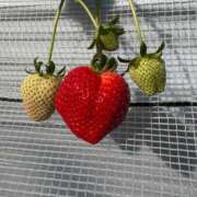 ヒメ日記 2026/02/23 22:57 投稿 るか ハッピーブリッジ