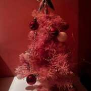 ヒメ日記 2024/12/12 18:04 投稿 黒川　みれい 雫(しずく)