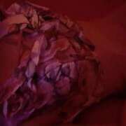 ヒメ日記 2025/02/02 07:13 投稿 黒川　みれい 雫(しずく)