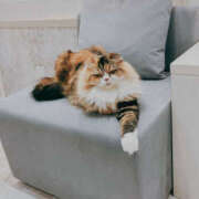 ヒメ日記 2025/02/22 09:30 投稿 はるな 奥鉄オクテツ神奈川店（デリヘル市場グループ）