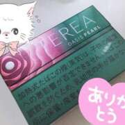 ヒメ日記 2025/11/11 16:21 投稿 イブ ファーストレディー