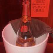 ヒメ日記 2025/02/23 01:45 投稿 ふうか 神田はっち