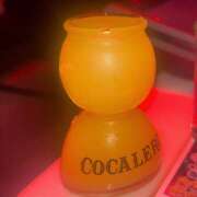 ヒメ日記 2026/01/30 00:46 投稿 ふうか 神田はっち