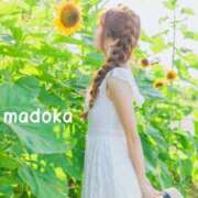 ヒメ日記 2025/08/19 08:33 投稿 まどか 府中ダービー